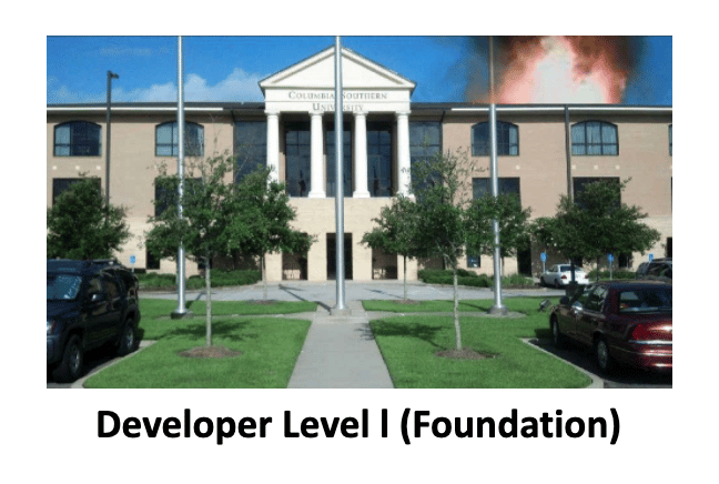 Developer Level I Foundation SimsUshare Training Course