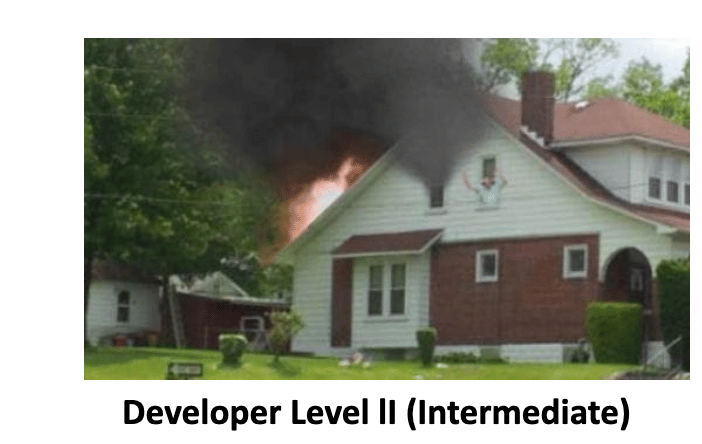 Developer Level II Intermediate SimsUshare Training Course